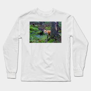 Red Fox - Algonquin Park, Canada Long Sleeve T-Shirt